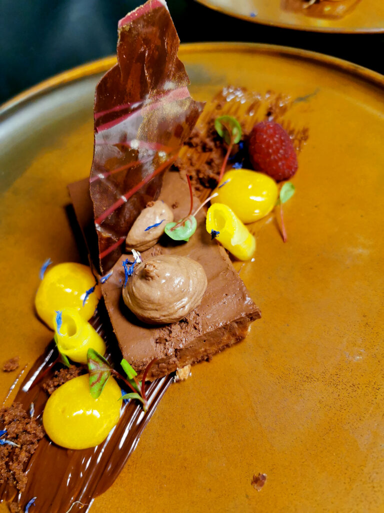 Schokoladendessert mit Schokoladenmousse, glänzender Schokoladenglasur und essbaren Blüten auf einem braunen Teller.