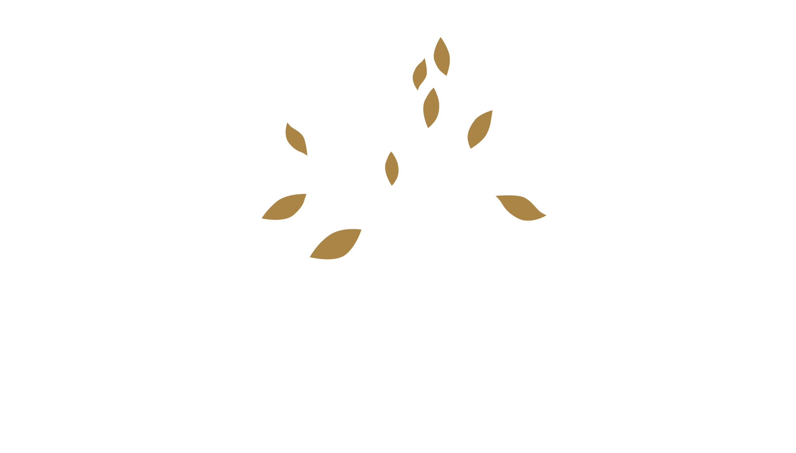 Culinary Tree